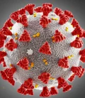 Illustration of the COVID-19 virus