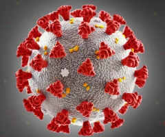 Illustration of the COVID-19 virus