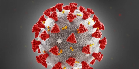 Illustration of the COVID-19 virus