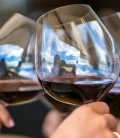 Three glasses of wine elegantly displayed at a vineyard in Valle de Guadalupe